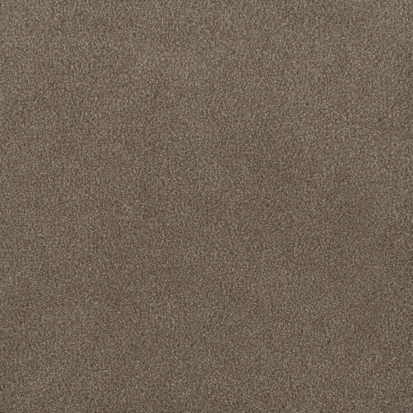 Dream Weaver Palmetto II Eagle Crest Collection