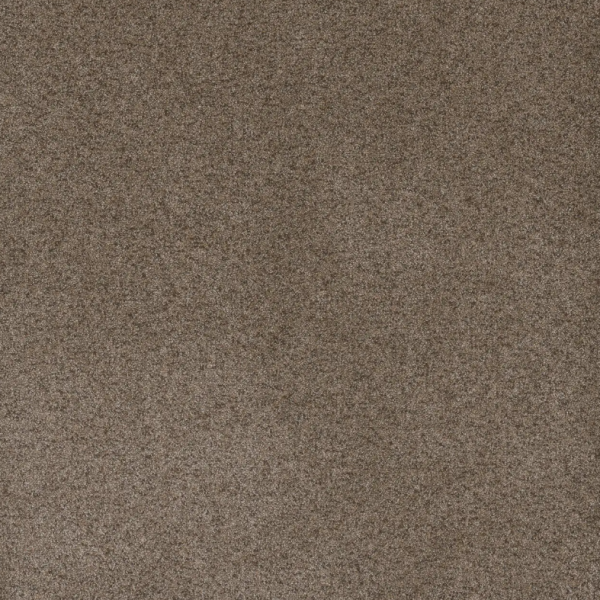Dream Weaver Serene I Shellbark Collection