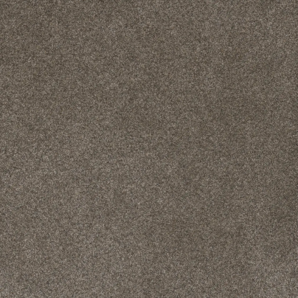 Dream Weaver Serene I Ridgeview Collection