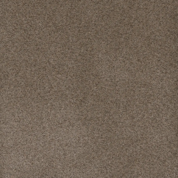 Dream Weaver Serene II Shellbark Collection