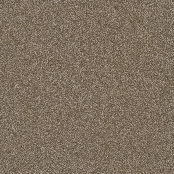 Dream Weaver Luxurious Lifestyle Tonal Dust Collection
