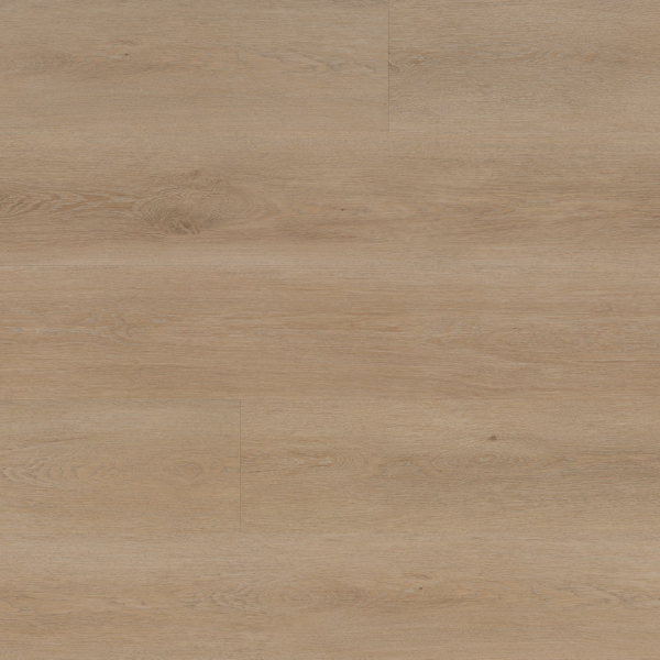 REWARD GEMCORE MOONSTONE SIDNEY Collection