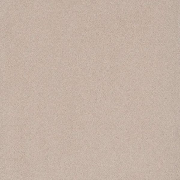 Phenix Canvas I Papyrus Collection