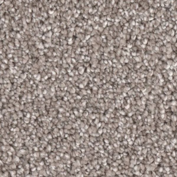 PHENIX GRAND CHAMPION PATRON Collection