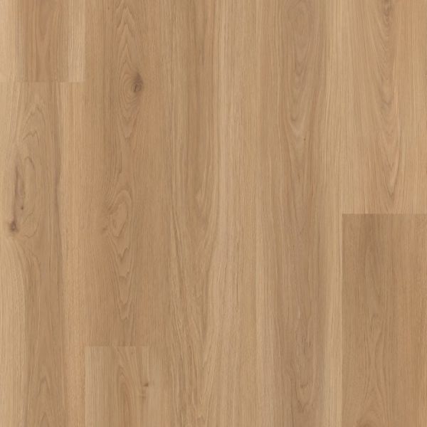 Lions Floor Realm Ardmore Collection