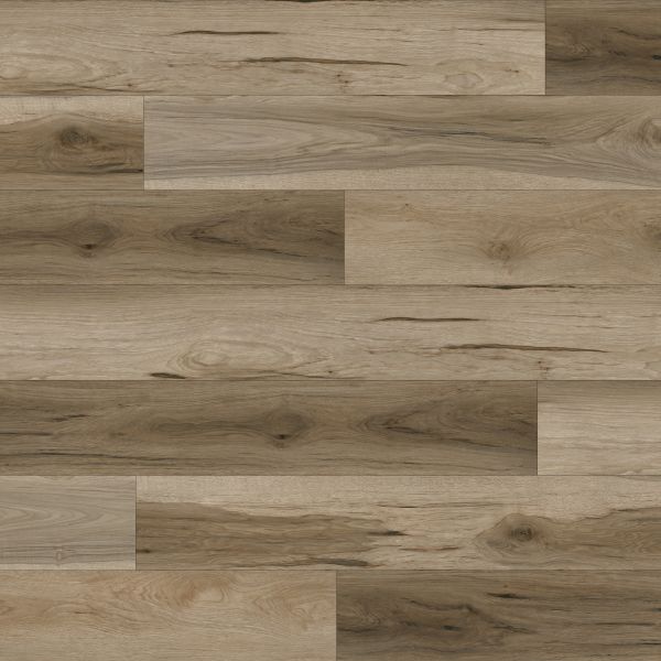 PARADIGM BUCKWHEAT Collection