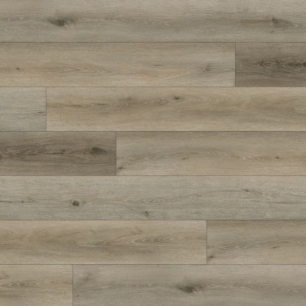 PARADIGM CASHEW Collection