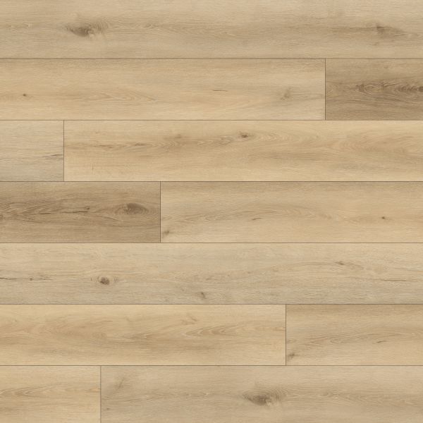 PARADIGM RYE Collection