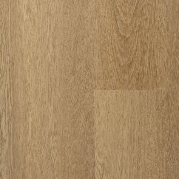 TOUGHLOCK BAGLEY Collection