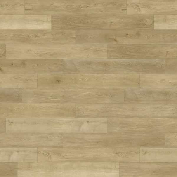 PARADIGM CONQUEST GUILD Collection