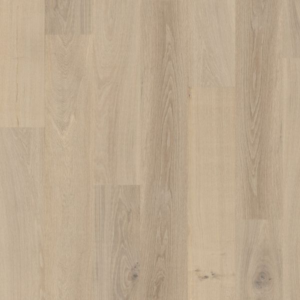 Duchateau Terra Taiga Collection