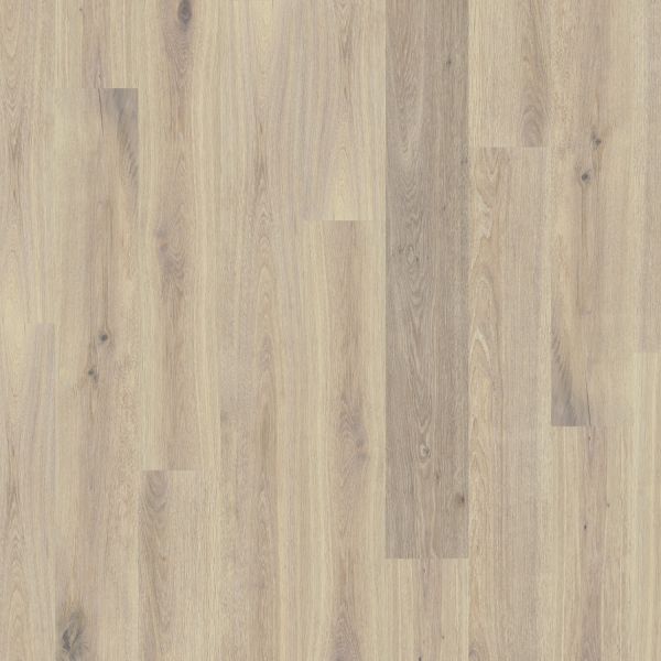 Duchateau Global Winds Mistral Collection