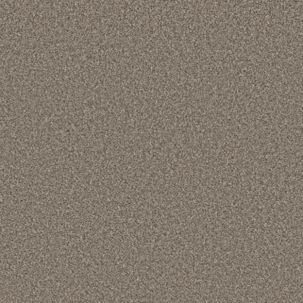 Shaw Floors Pet Perfect Remixed Classic Nutria Collection