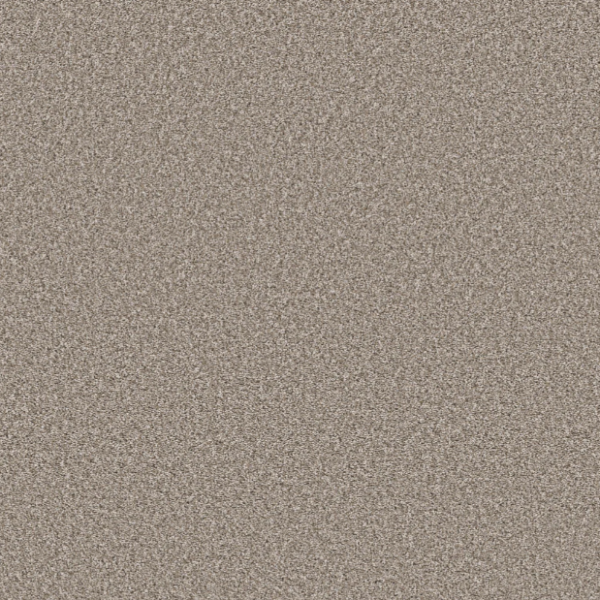 Shaw Floors Pet Perfect Remixed Classic Pebble Collection