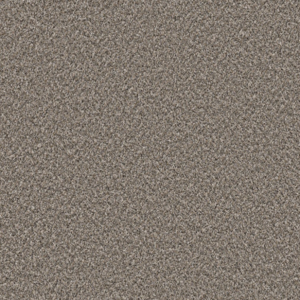 Shaw Floors Pet Perfect Remixed Classic Cobble Drive Collection
