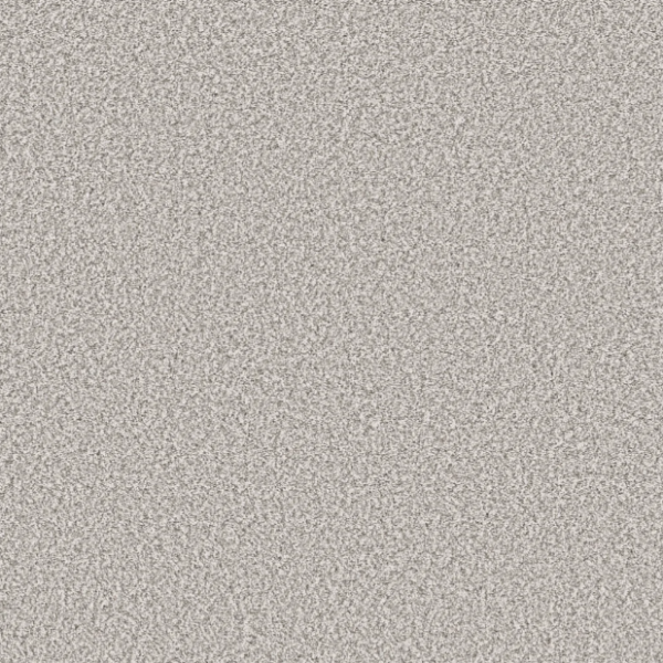 Shaw Floors Pet Perfect Remixed Classic Silver Lining Collection