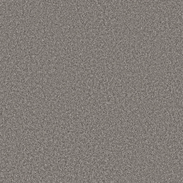 Shaw Floors Pet Perfect Remixed Classic Antique Pewter Collection