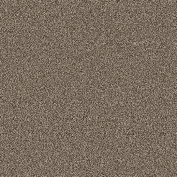 Shaw Floors Pet Perfect Remixed Classic Dry Creek Collection