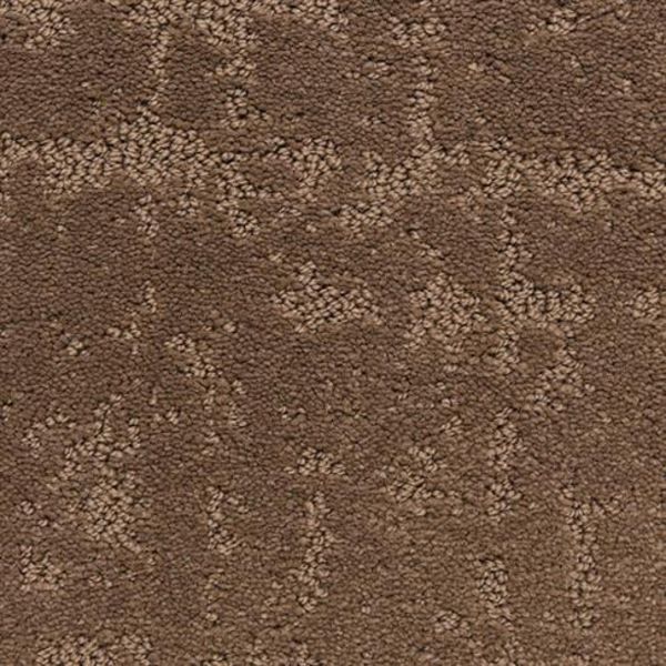 Dixie Classic Demeanor Brevity Collection
