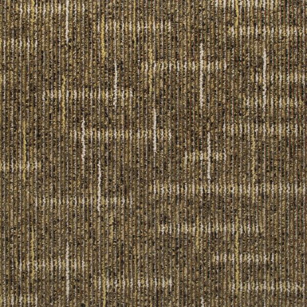 Lifetime Context Contrast Collection