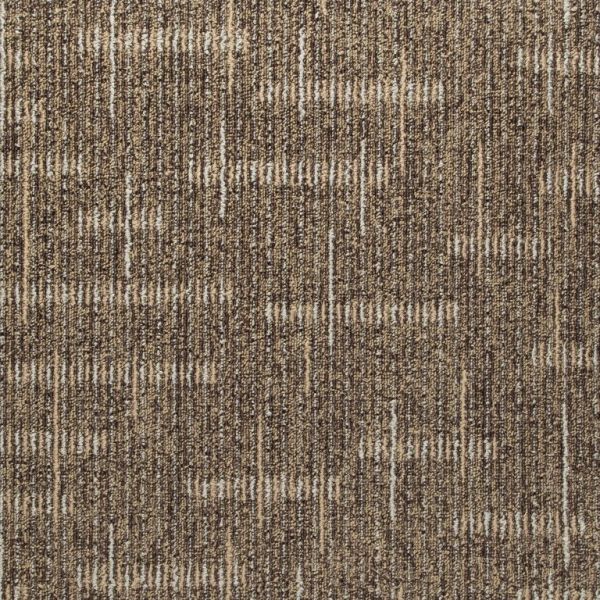 Lifetime Context Texture Collection