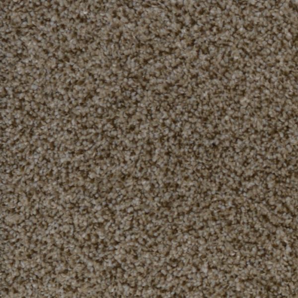 Medallion Fabulous 58 Ginger Snap Collection