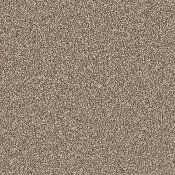 Medallion Splendor 40 Dove Collection