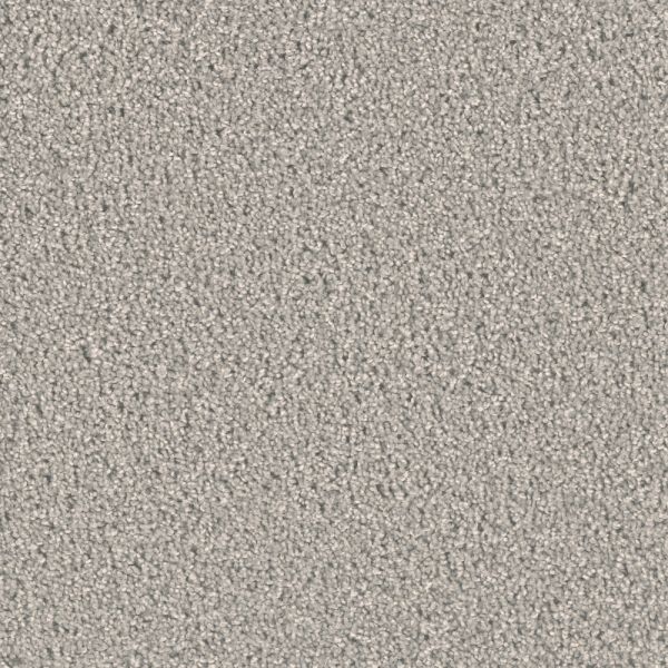 Medallion Splendor 40 Silver Birch Collection