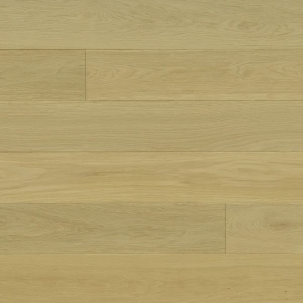 MONARCH DUCHESS CAROLINA Collection