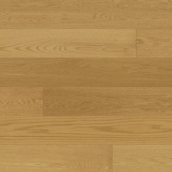 Monarch Piedmont Aria Collection