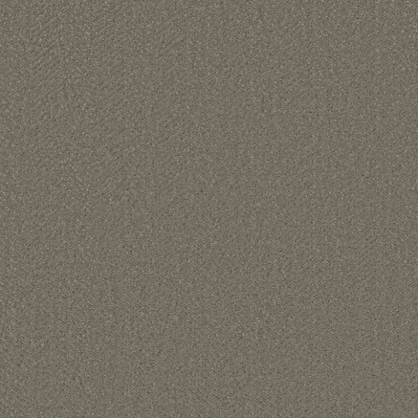 Shaw Floors Simply The Best Highland Twill Fallen Acorn Collection