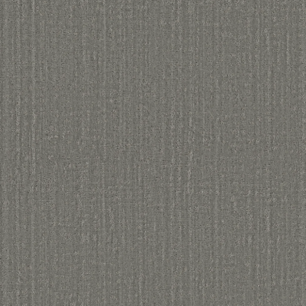 Shaw Floors Pet Perfect Shady Stroll Sheer Taupe Collection