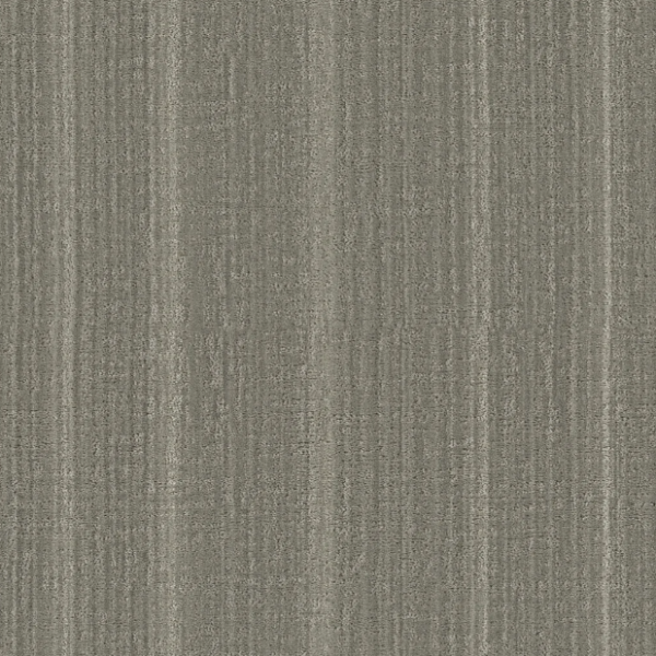 Shaw Floors Pet Perfect Shady Stroll Stonehaven Collection