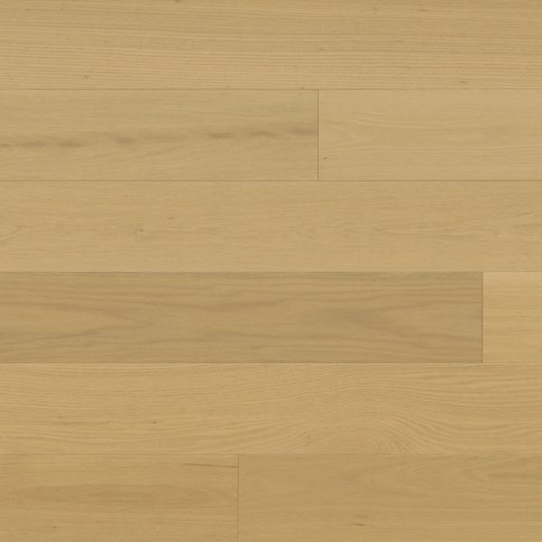 Monarch Piedmont Bella Collection