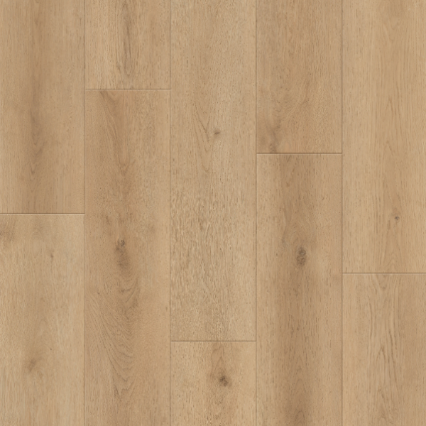 Lions Floor Realm Max Atherton Collection