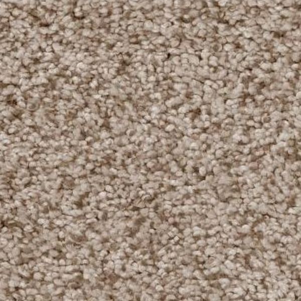 Tuftex Sumptuous I Toasted Grain Collection