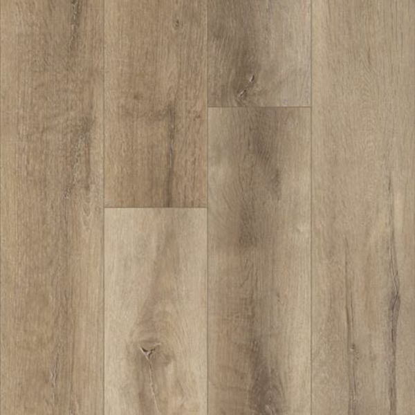 MARQUIS CHAPLIN SUGAR MAPLE Collection