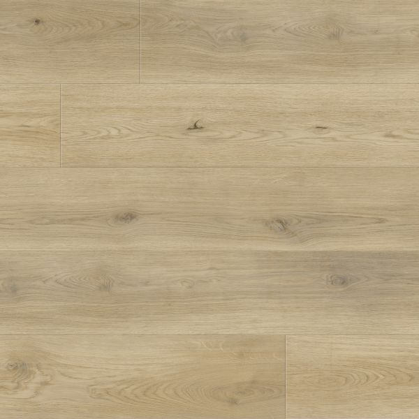 Republic Deep Forest Ivory Buff Collection