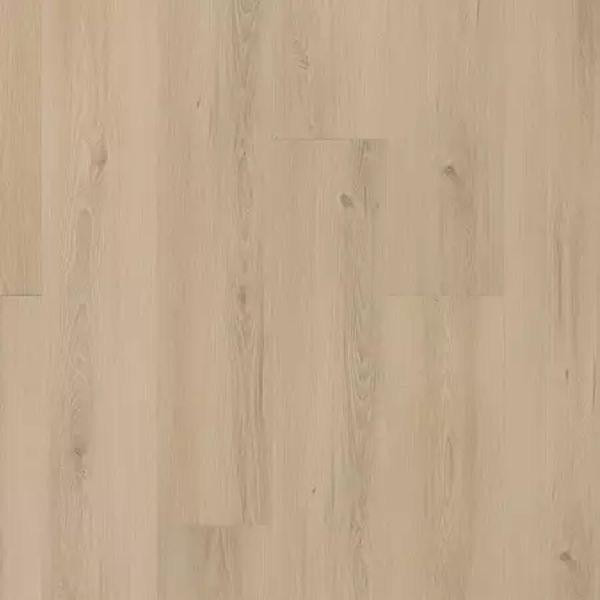 MOHAWK SOLID TECH PLUS EASTBROOK SHOALS CONSTANCE Collection