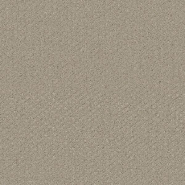 SHAW CONTENDER - SOLID WILD TRUFFLE Collection