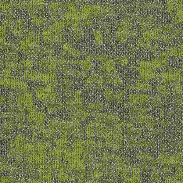 PHILADELPHIA MODERN TERRAIN TIDE WATER TAIGA Collection