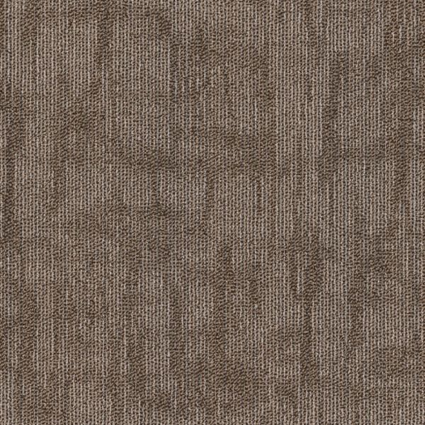 PHILADELPHIA SURFACE WORKS COMPOSE Collection