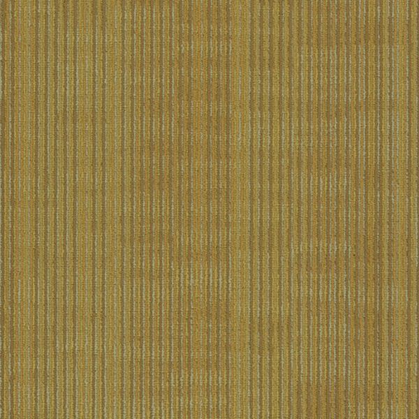 PHENIX IMPRESSION ETCH Collection