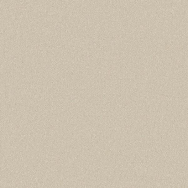 SHAW FLOORS PERSPECTIVE PATH IMAGINATION Collection