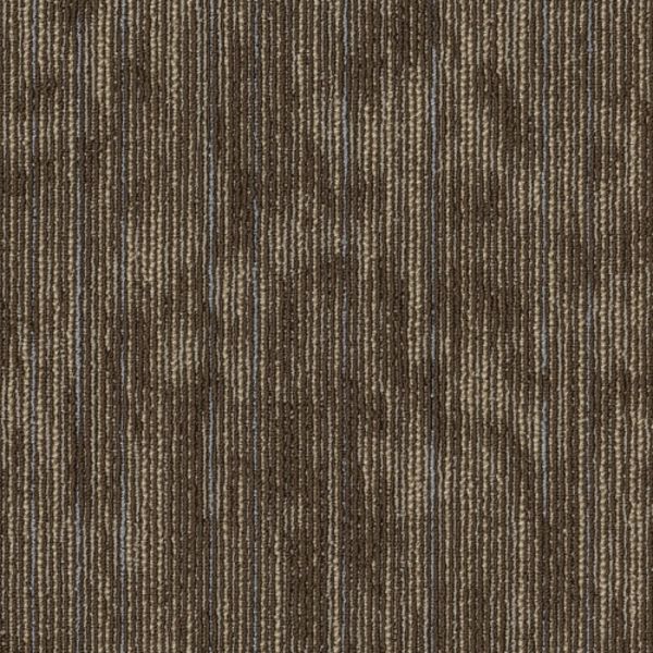 PENTZ ANIMATED VIGOROUS Collection