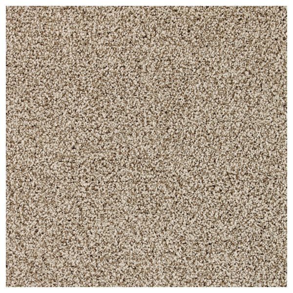MOHAWK PET PREMIER THATCHED Collection