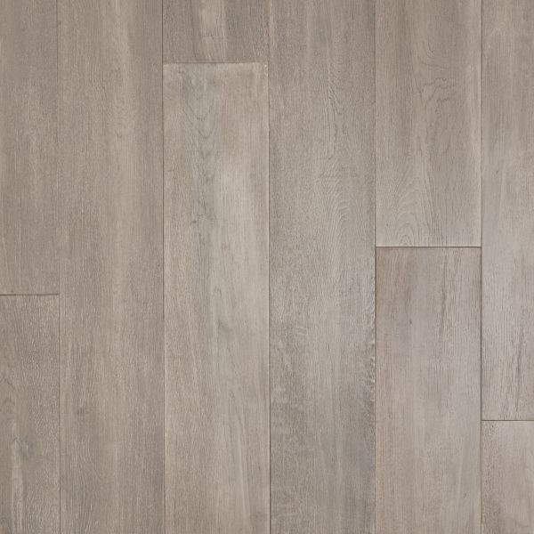 Duchateau Domenico Collection