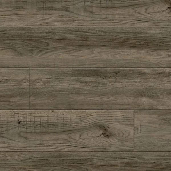 REPUBLIC THE MEADOWS IRIS TAN Collection