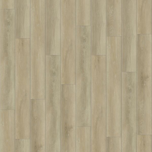 Raskin Acrylx Gencore Clinton Collection