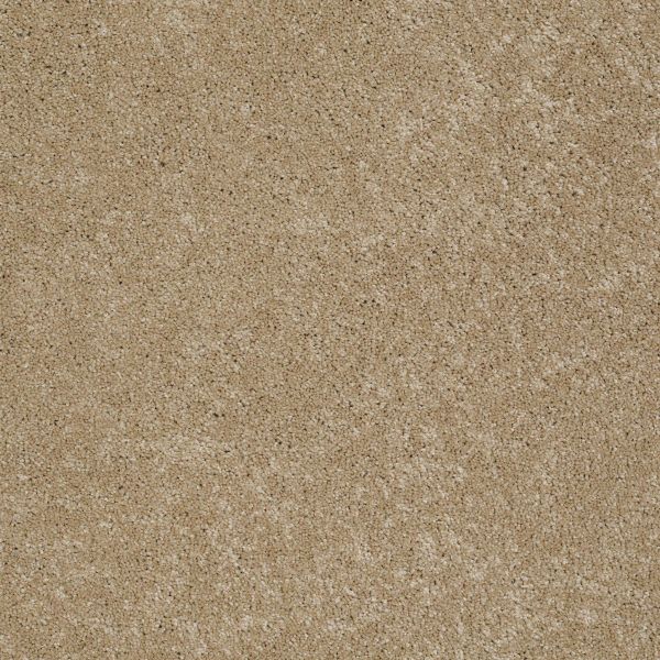 TUFTEX MURPHY PASSIVE TAN Collection